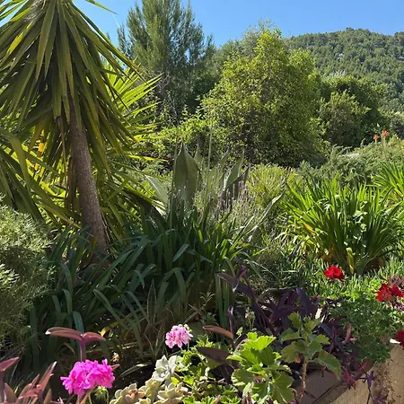 Grscica 07 Brnistrova