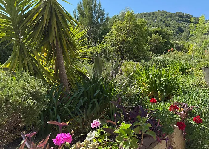 Grscica 07 Brnistrova